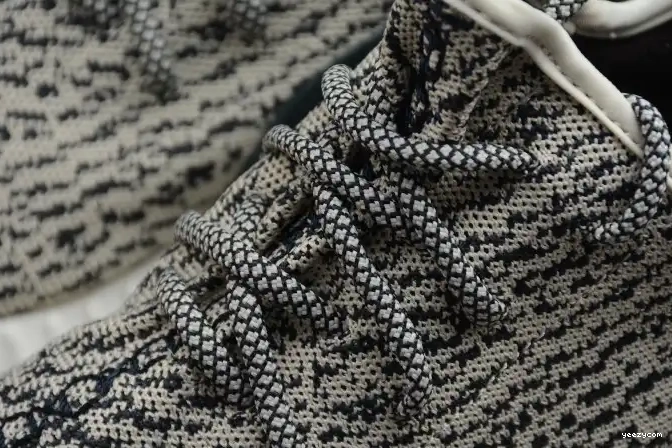 Dove YEEZY Adidas Turtle 350 Boost AQ4832 0507